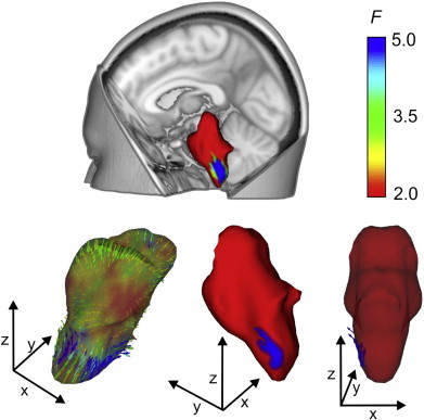 Fig. 1