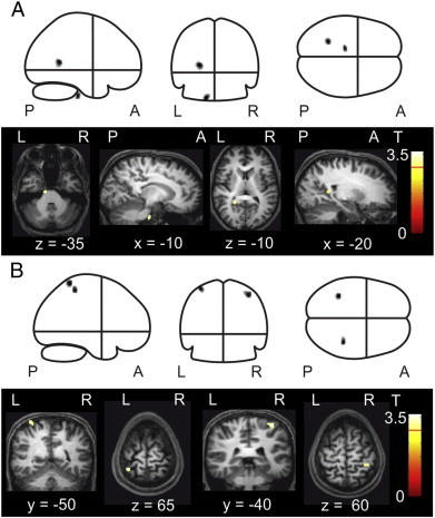 Fig. 3