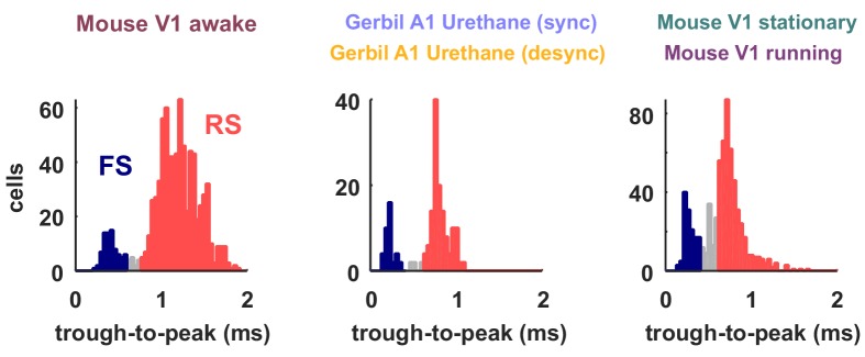 Figure 6—figure supplement 1.