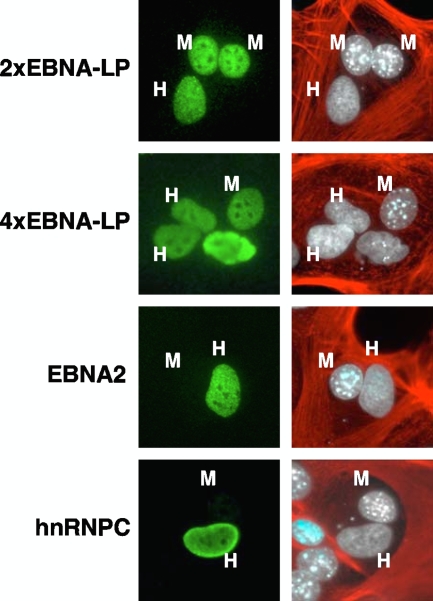 FIG. 4.