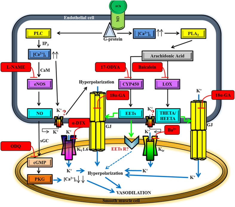 Figure 9