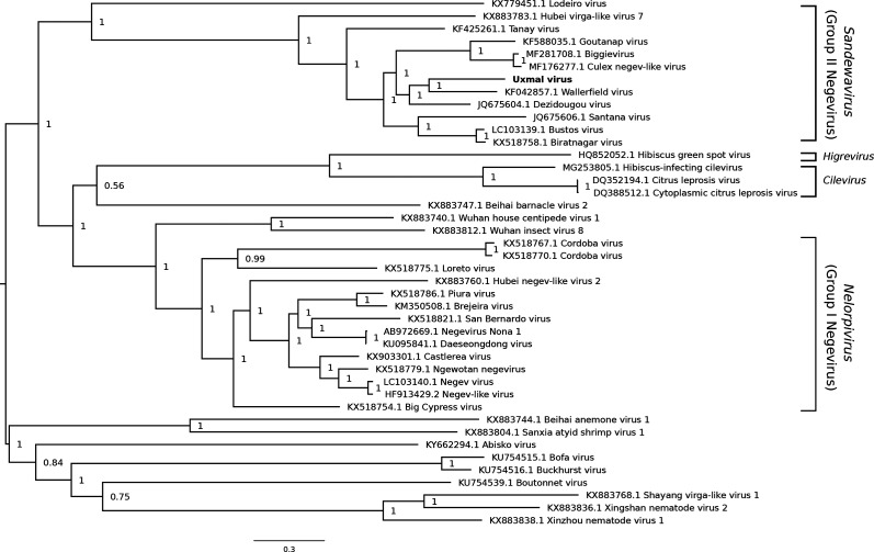 Fig. 3.