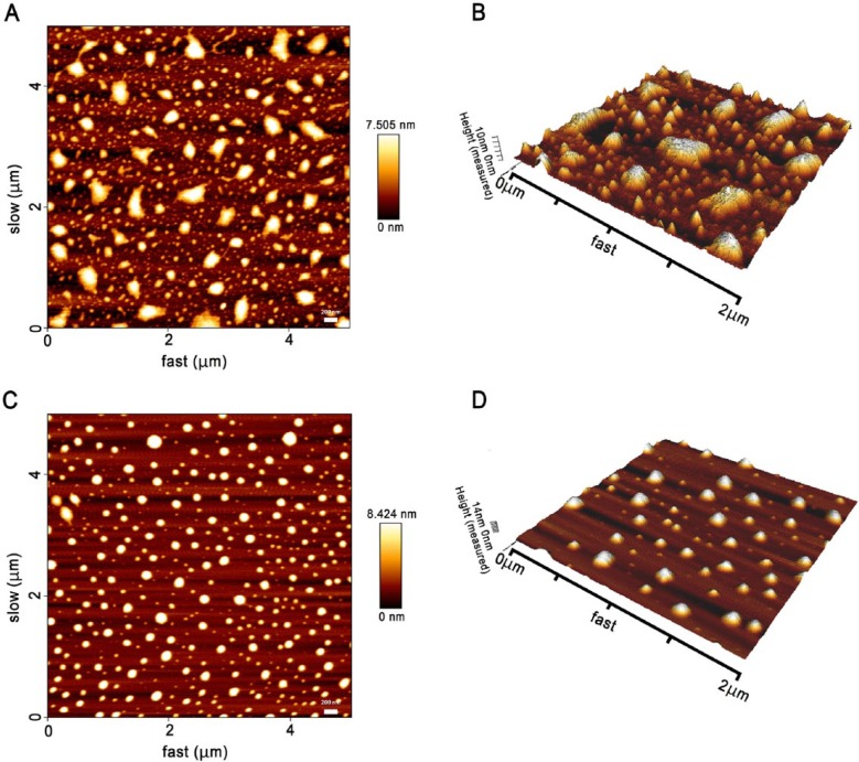 Figure 3.