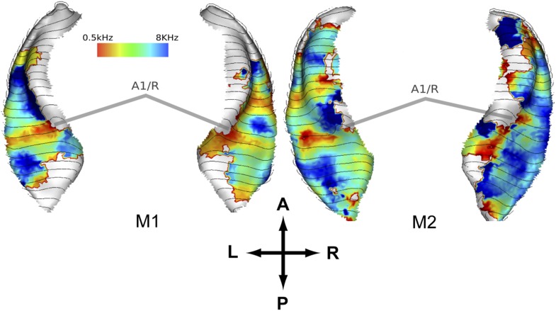 Figure 3.