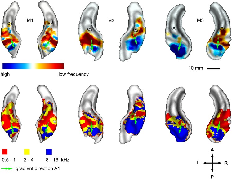 Figure 2.