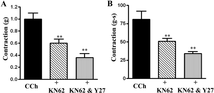 Fig. 9.