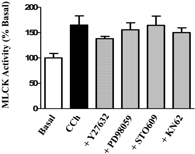 Fig. 10.