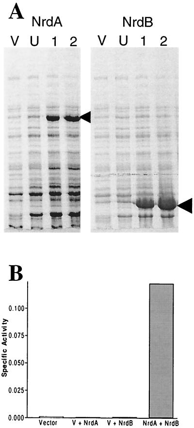 FIG. 5.