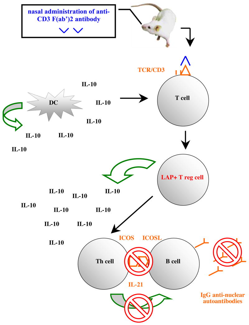 Diagram 2