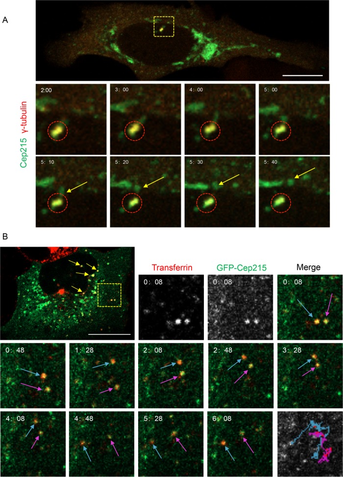 FIGURE 3: