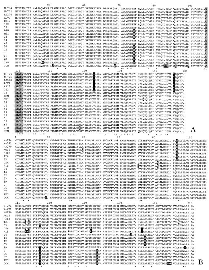 FIG.4.