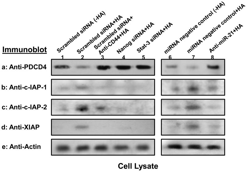 Fig. 5