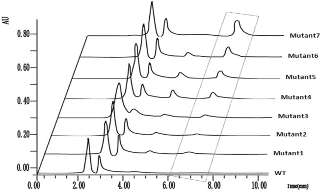 Fig. 4