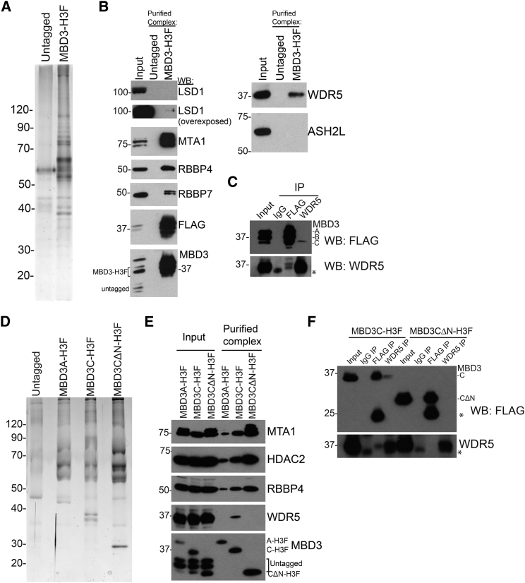 Figure 1