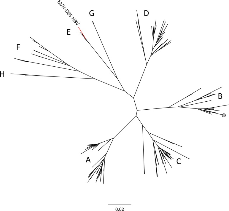 Fig 5