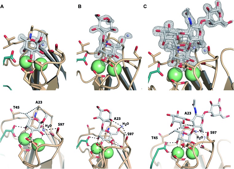 Fig. 7