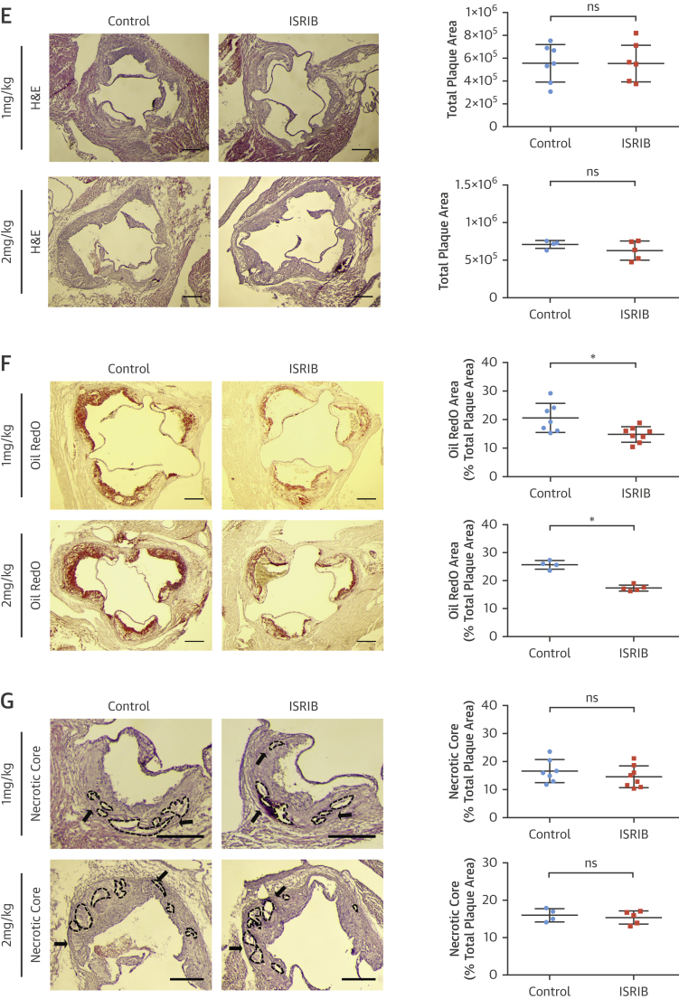 Figure 6