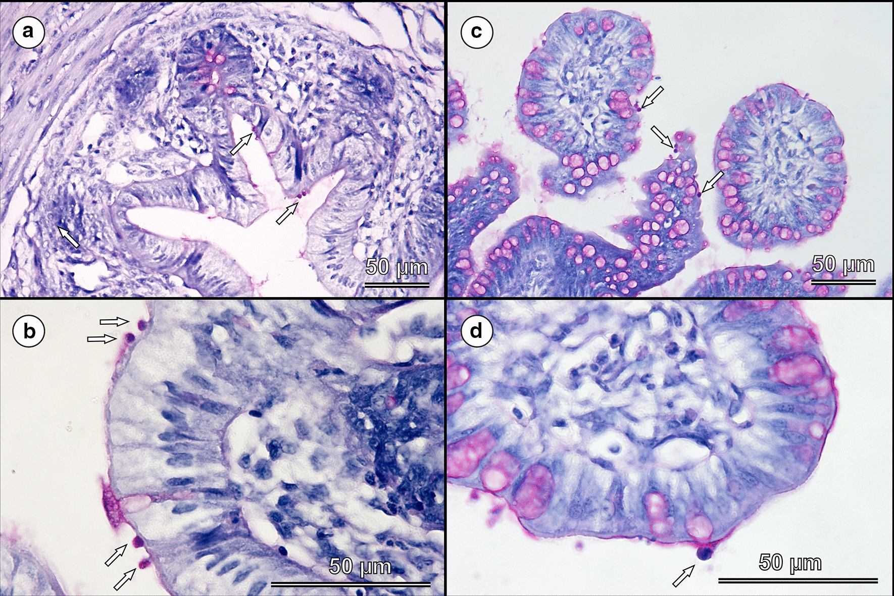 Fig. 6