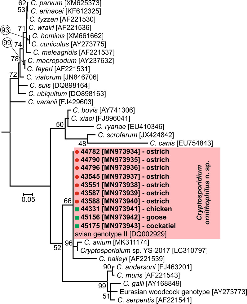 Fig. 3