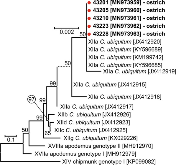 Fig. 4