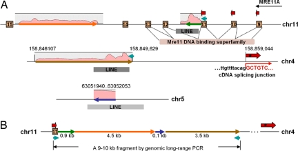 Fig. 4.