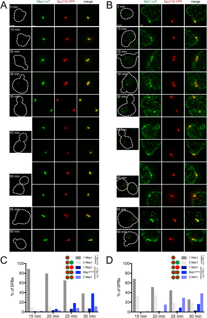 Figure 9.