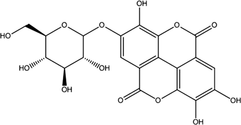 Fig. 5