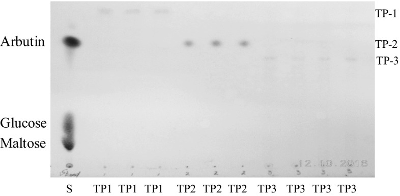 Fig. 2