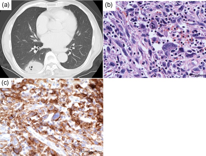 Figure 1: