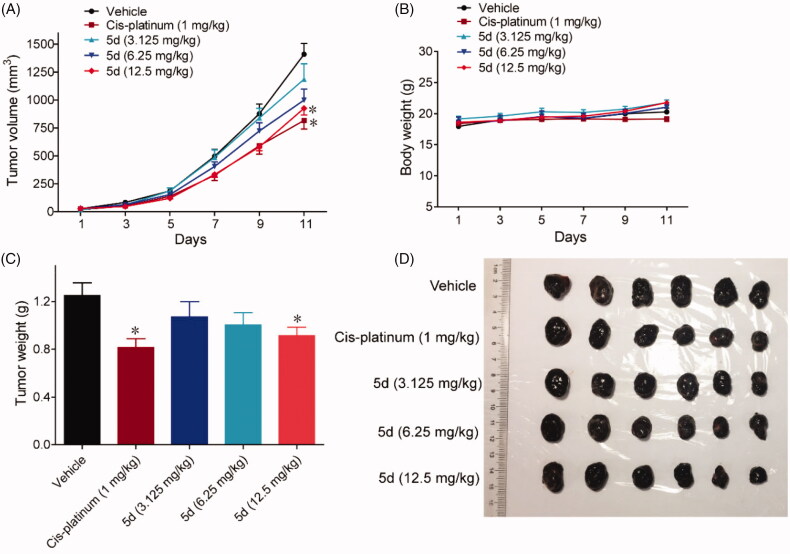 Figure 13.
