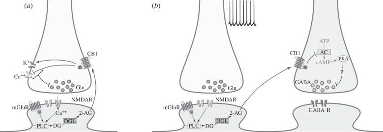 Figure 1.