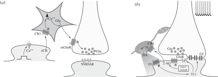 Figure 2.