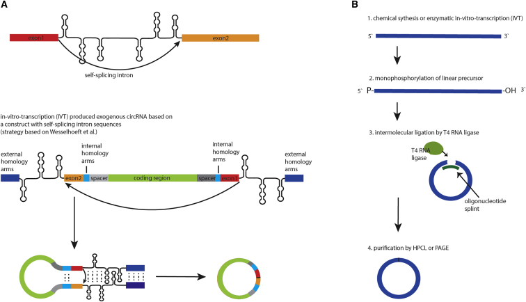 Figure 4