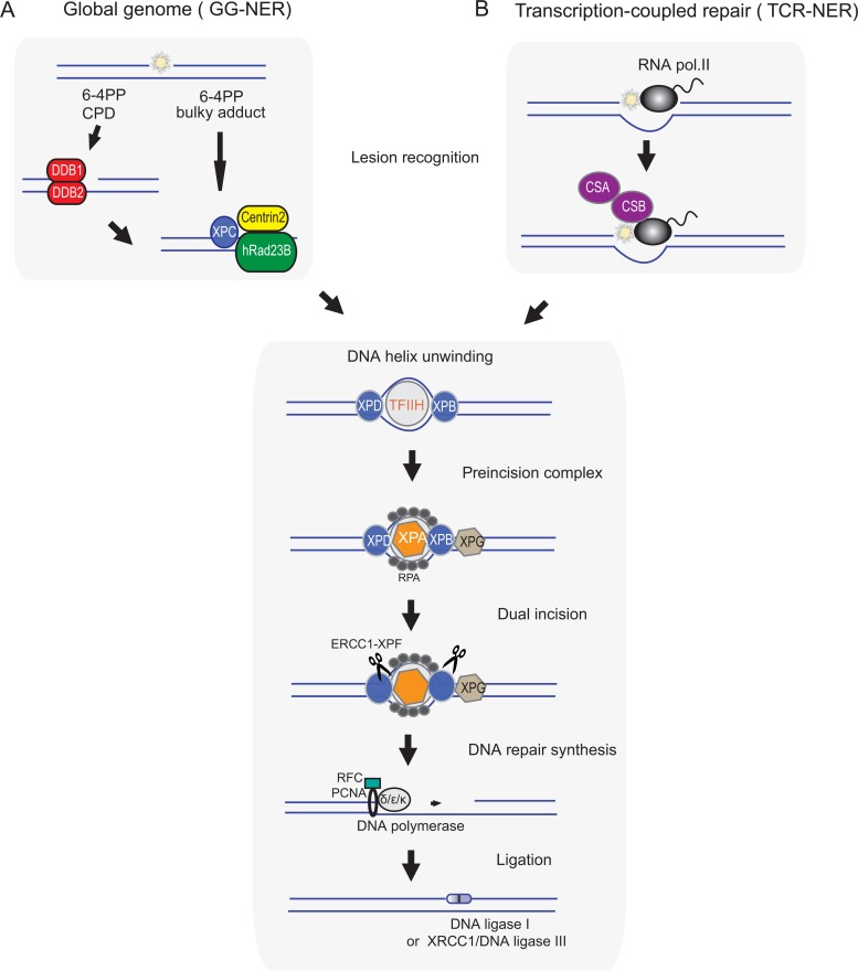 FIG 10