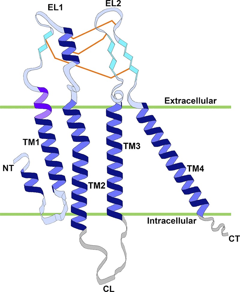 Figure 6.