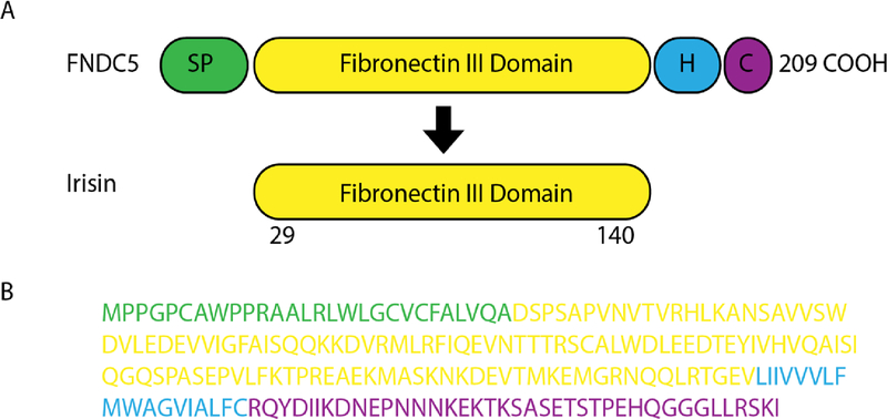 Fig 2.