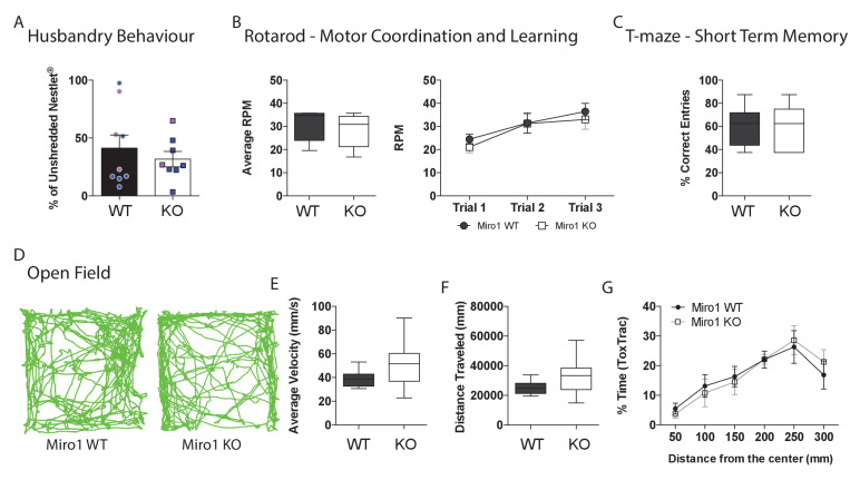 Figure 5—figure supplement 2.