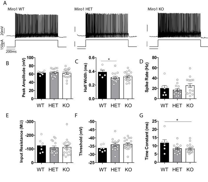 Figure 4—figure supplement 1.