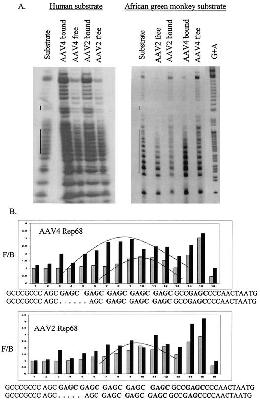 FIG. 5.