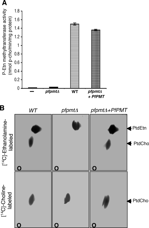 FIGURE 3.