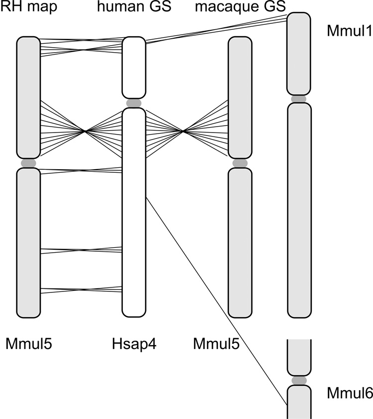 Fig. 4