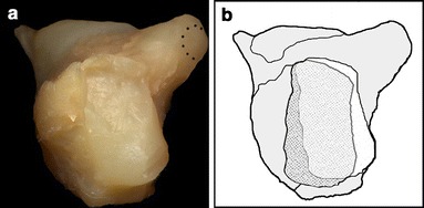 Fig. 8