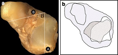 Fig. 2