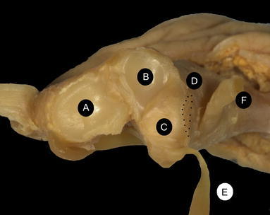 Fig. 9