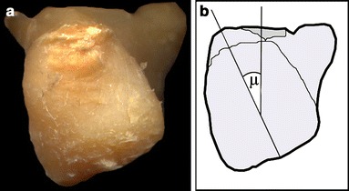 Fig. 7