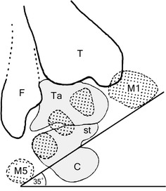 Fig. 10