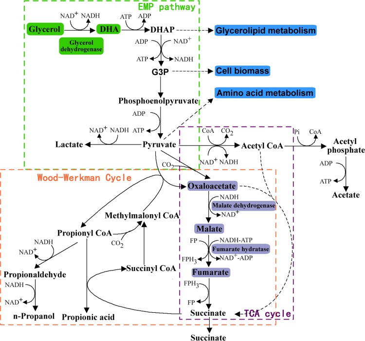 FIG 1