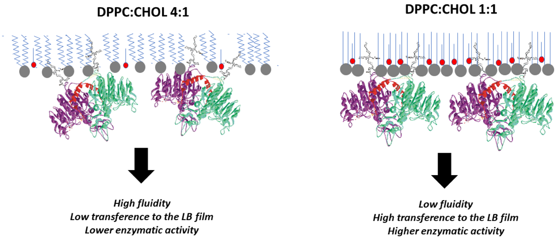 Figure 7: