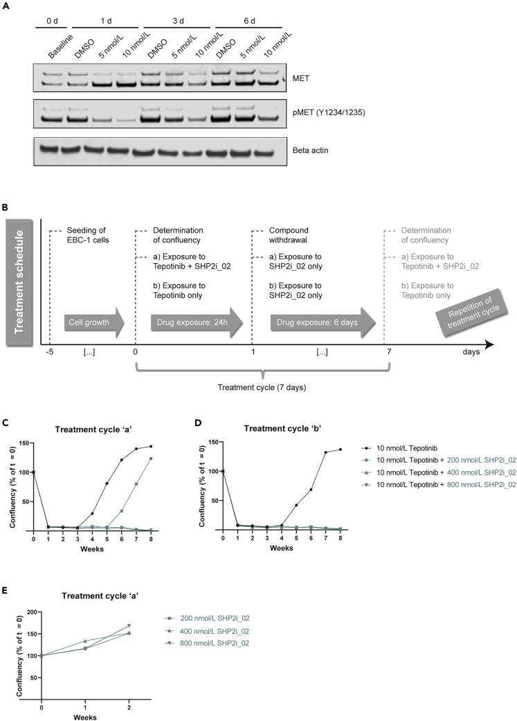 Figure 6