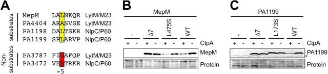 FIG 7